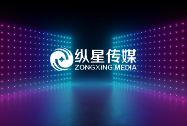 縱星傳媒