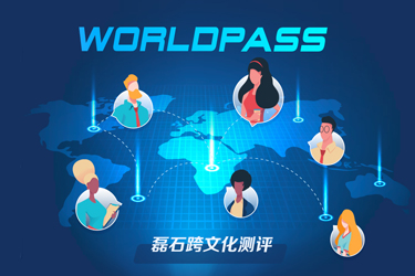 磊石跨文化測評系統(tǒng)開發(fā)完成