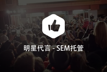 明星代言SEM競價托管案例
